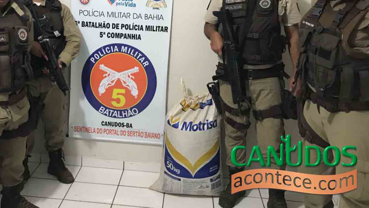 Apreensão de drogas em roça de plantio de Maconha
